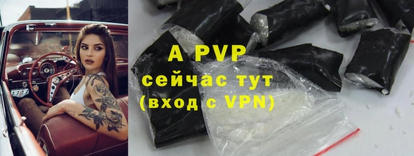 apvp Алексин