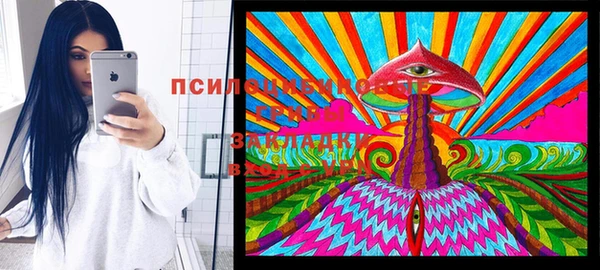 мяу мяу мука Алзамай