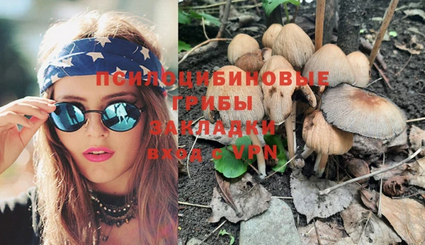 бошки Абдулино